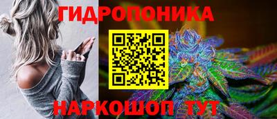 спиды Михайловск