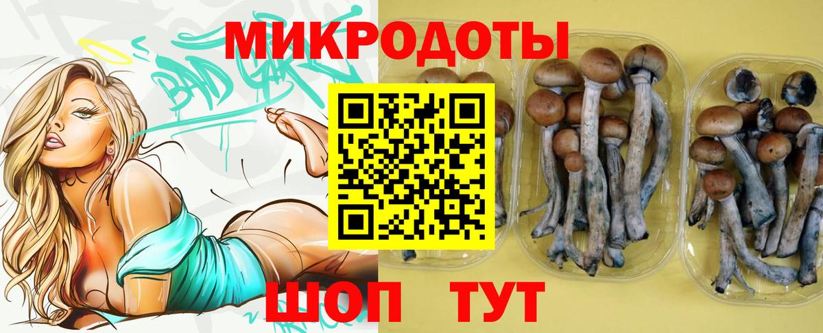 Галлюциногенные грибы ЛСД Нижнекамск