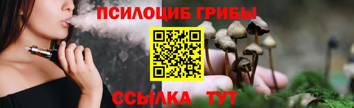 купить наркотики цена  Галлюциногенные грибы Cubensis  Нижнекамск  Вход с VPN  Галлюциногенные грибы Psilocybine cubensis 